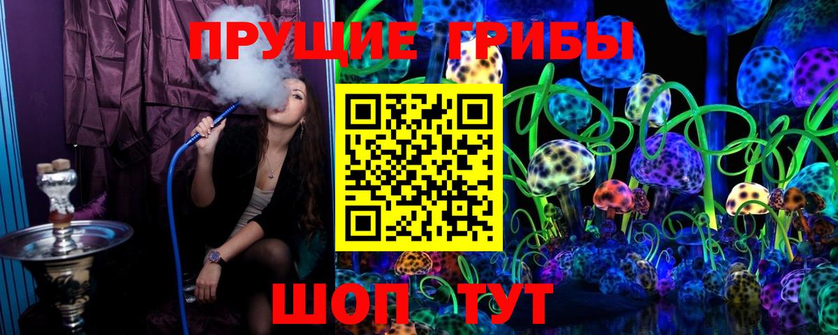 Галлюциногенные грибы MAGIC MUSHROOMS  Вход с VPN  Заринск 